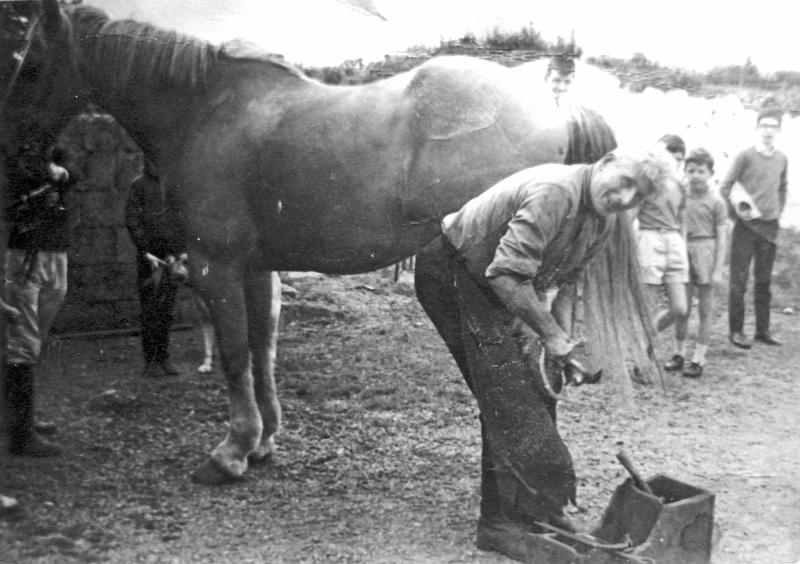 J Caseys father shoeing horse.JPG - Jack Casey's father shoeing horse